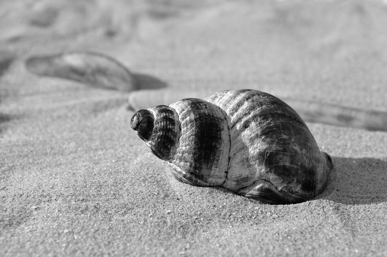 2022 Bentley Continental GT